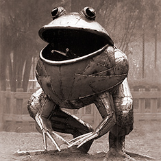 Sammakko