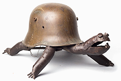 Kilpikonna